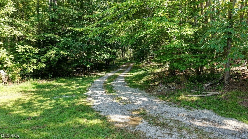 Picture 19