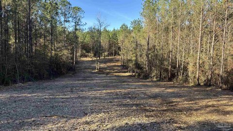 Allentown, FL Two-Acre Parcel