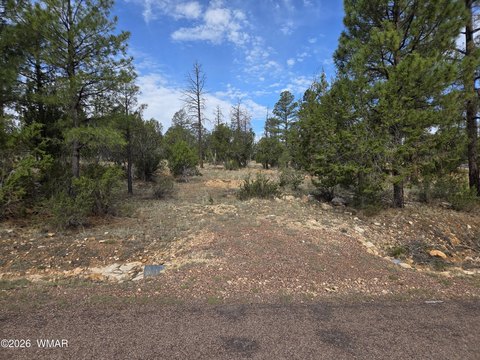 LAND - Heber, AZ