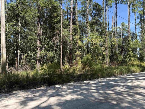 Land, Monticello, FL