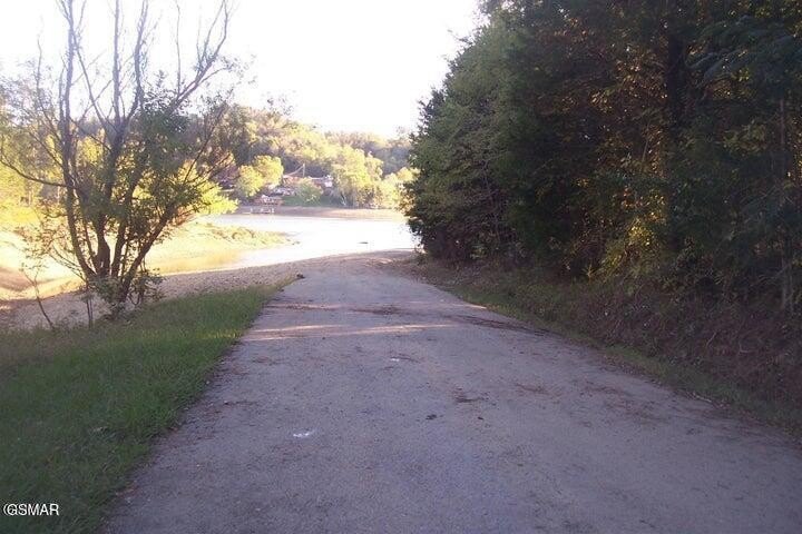 Picture 8