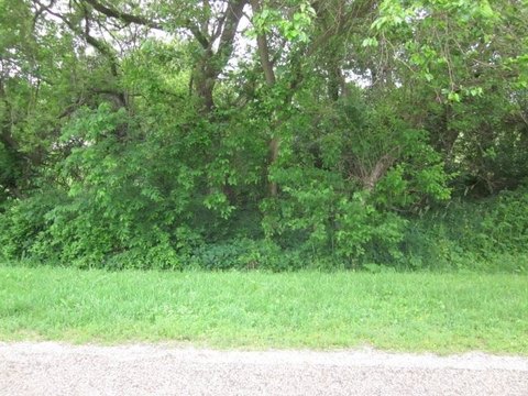LAND, LAKE SUMMERSET, IL