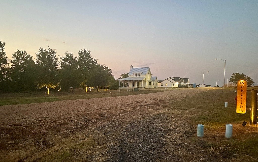 Picture 5