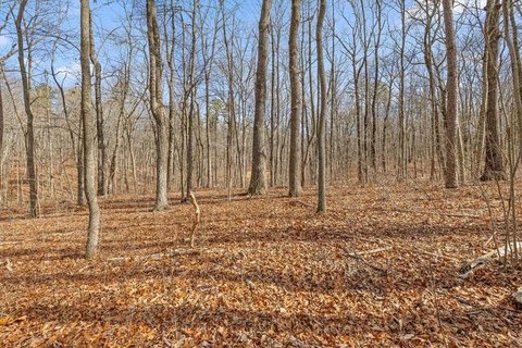 LAND - Signal Mountain, TN