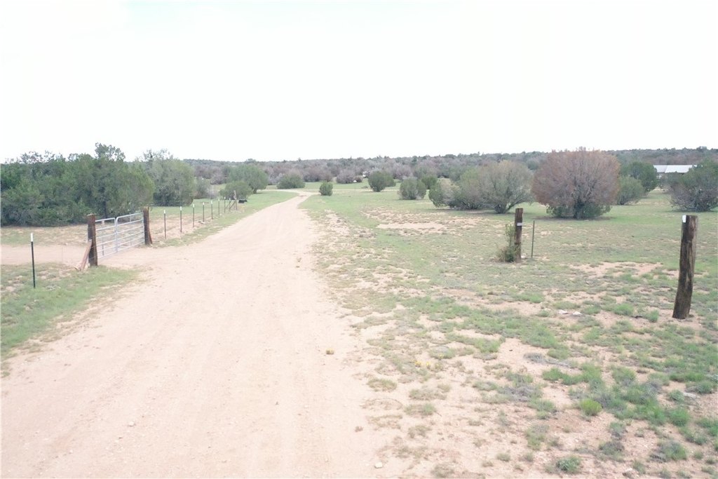 Picture 34