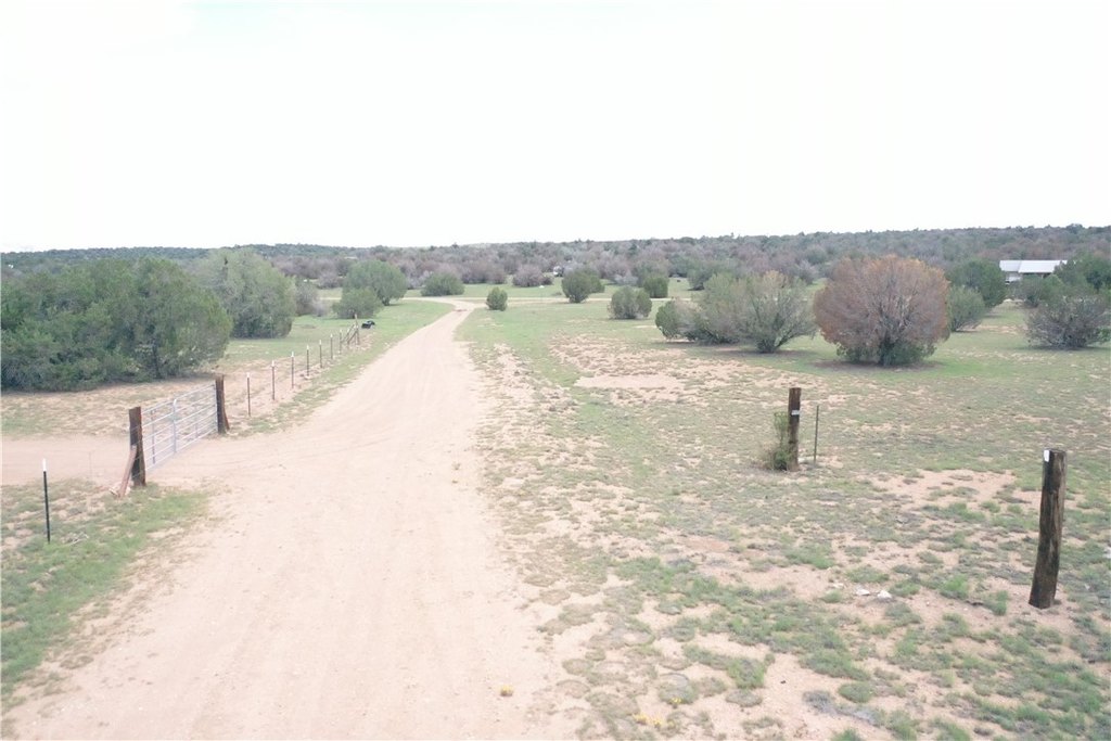 Picture 40