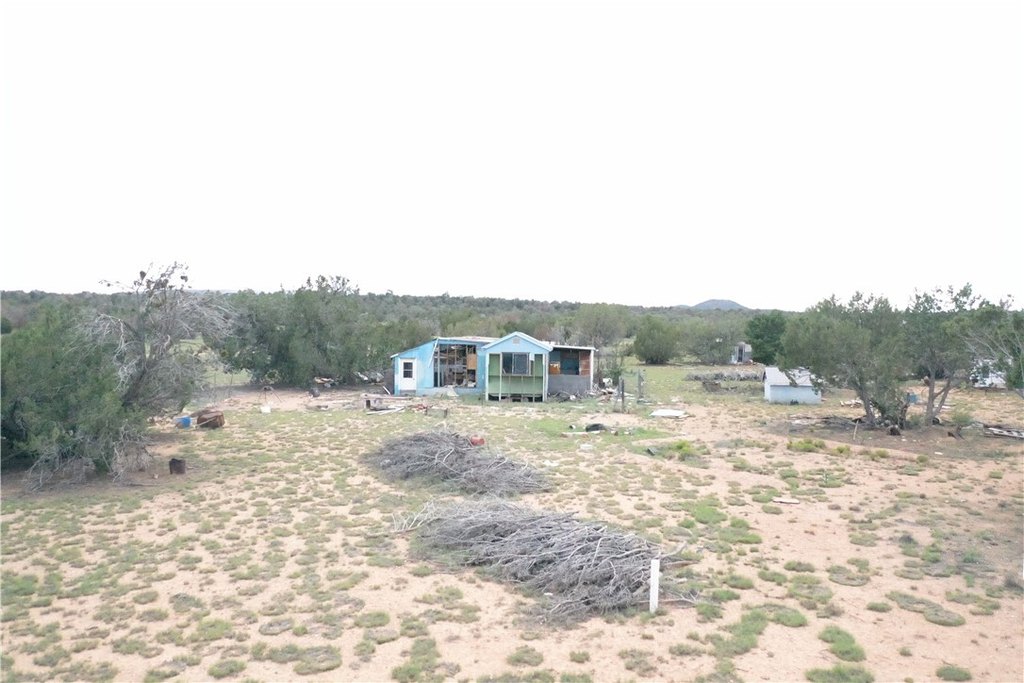 Picture 36