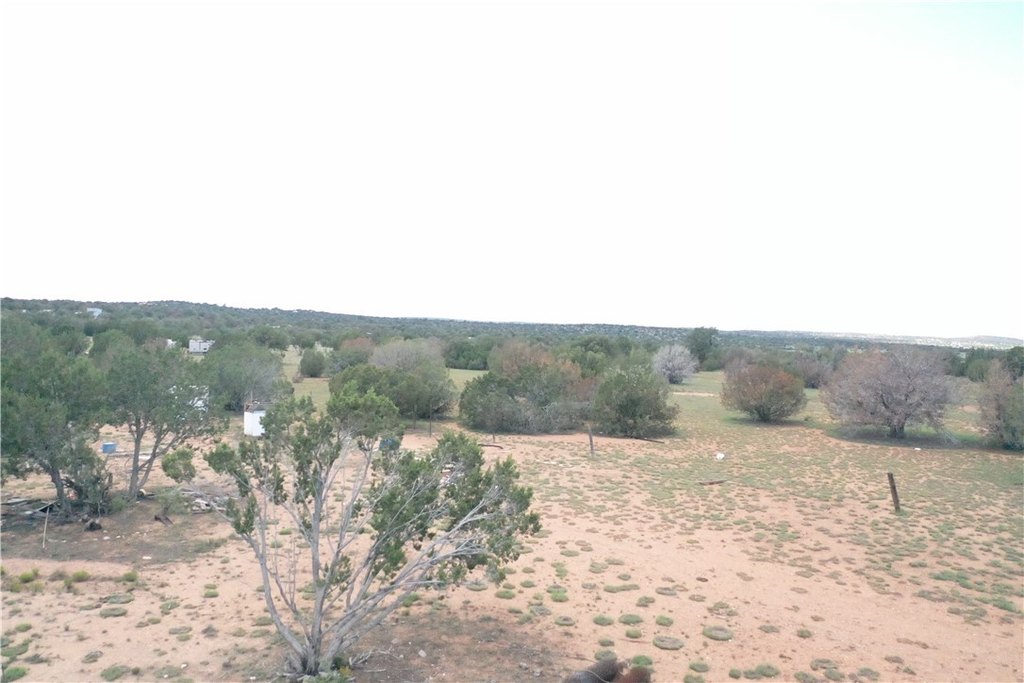 Picture 41
