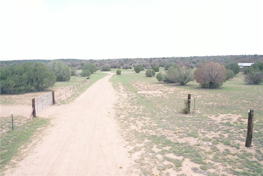 Picture 10