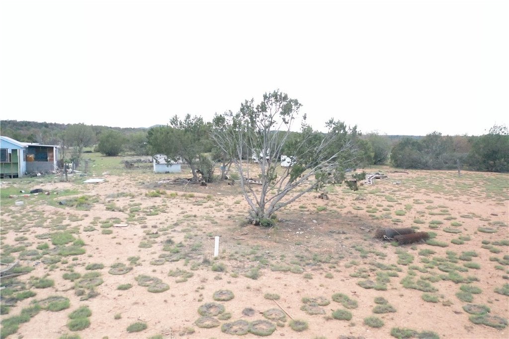 Picture 35