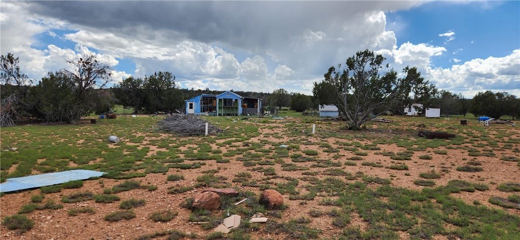 Picture 15