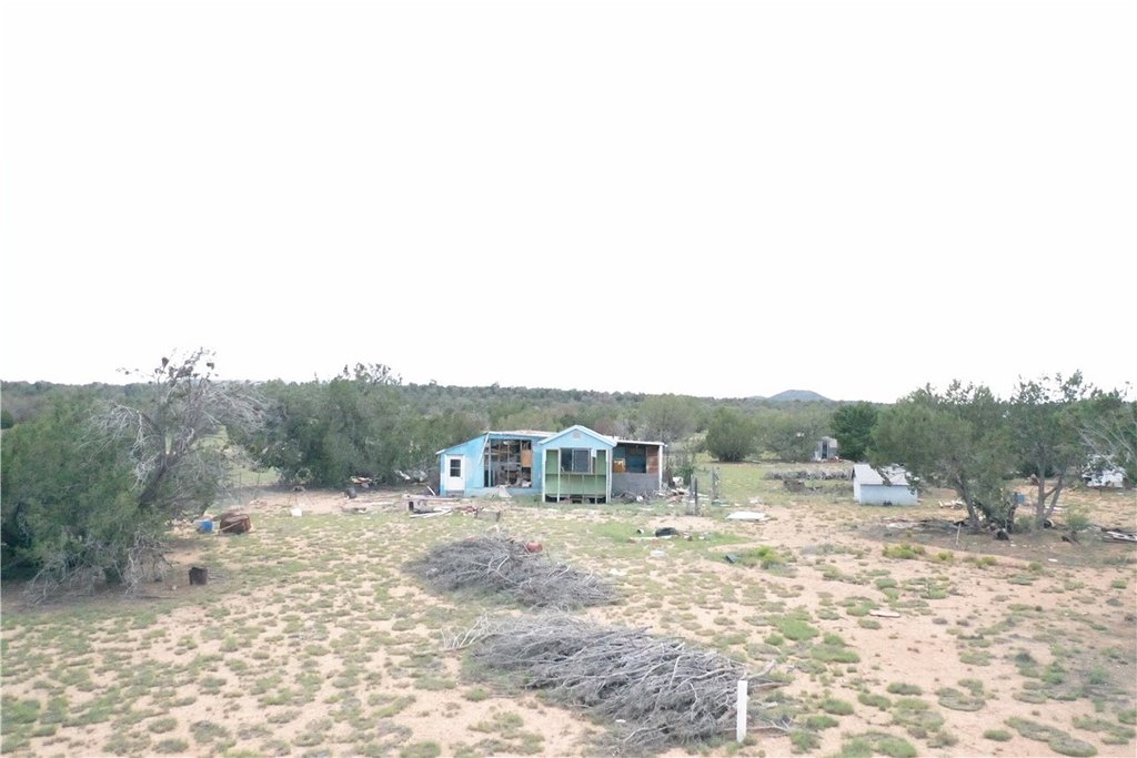 Picture 37