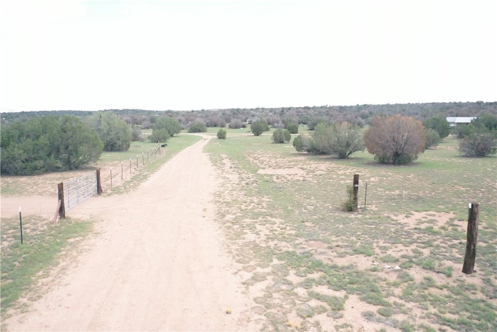 Picture 45