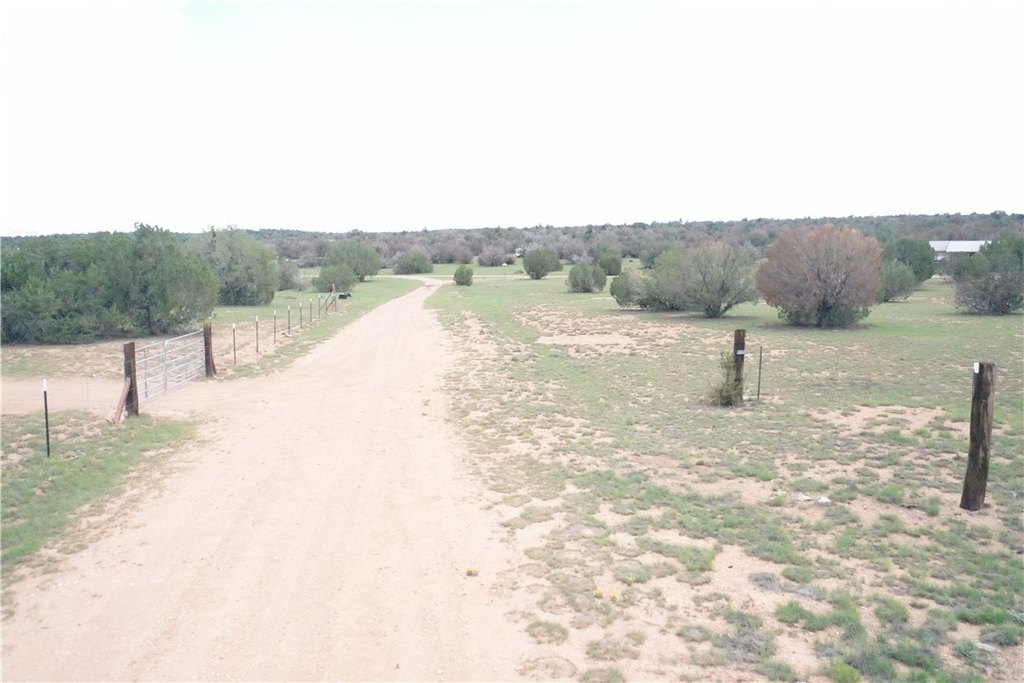 Picture 44