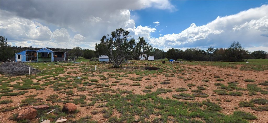 Picture 28