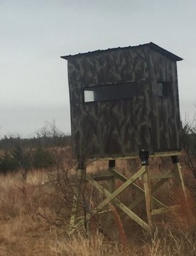 Hilltop Hunting Land