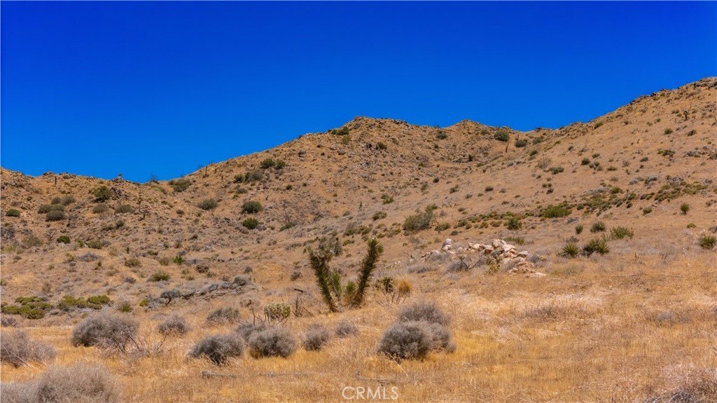 Picture 34