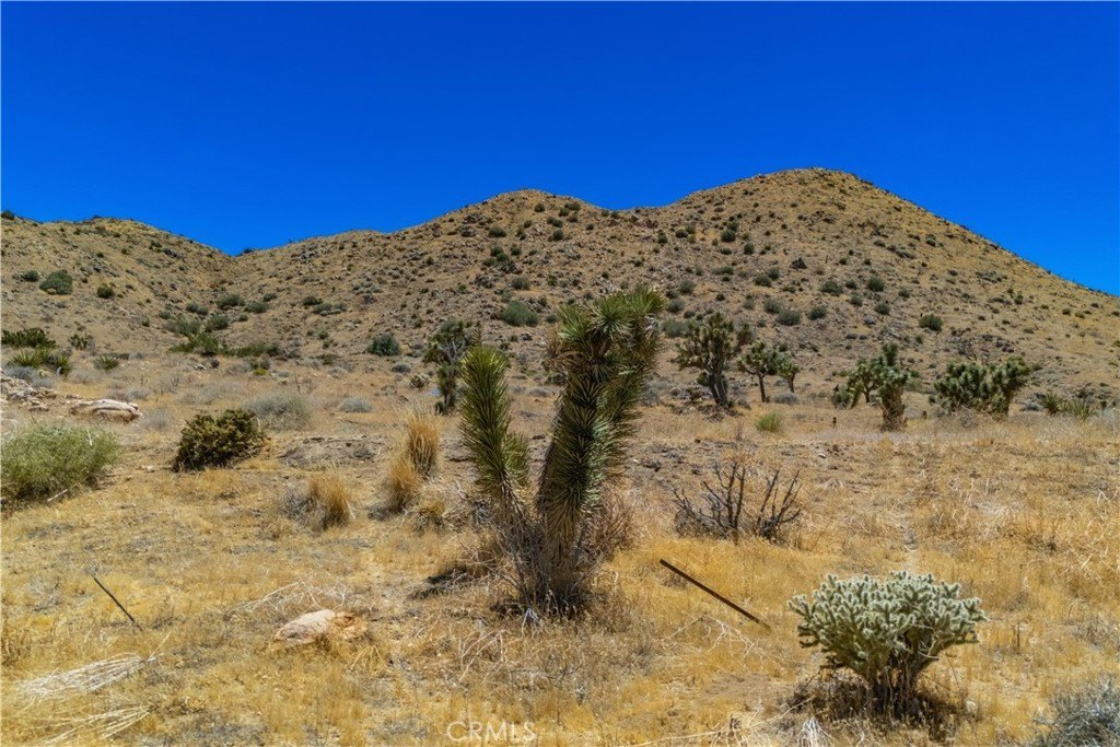 Picture 22