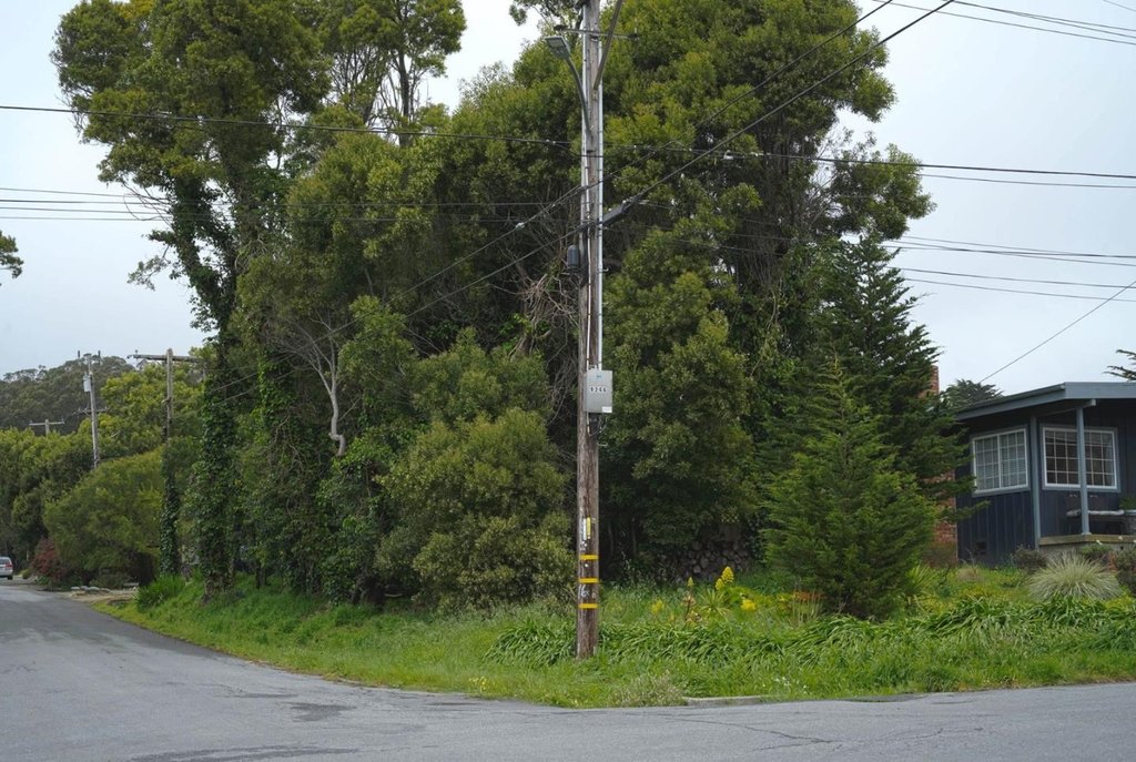 Picture 9
