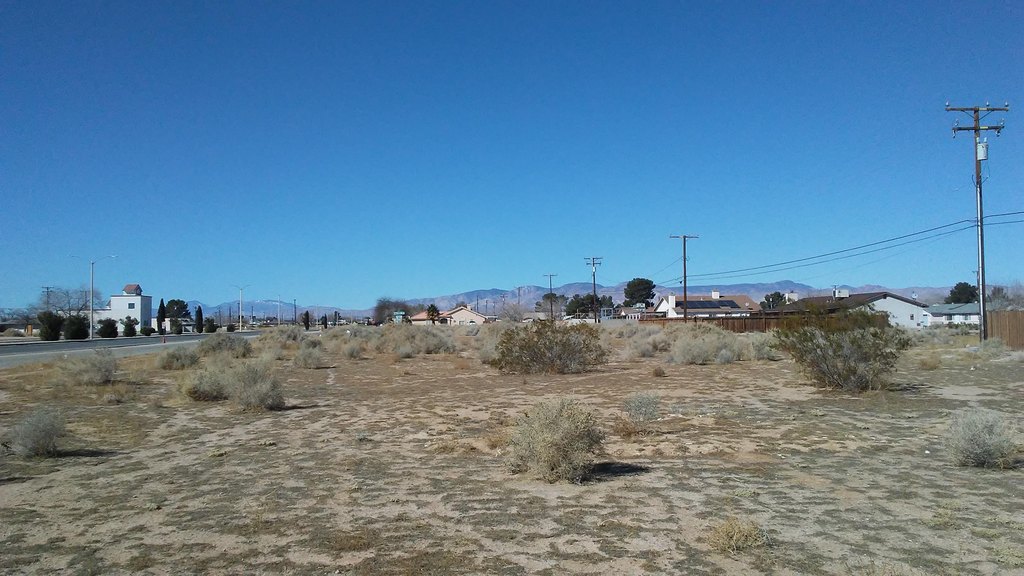 Picture 9