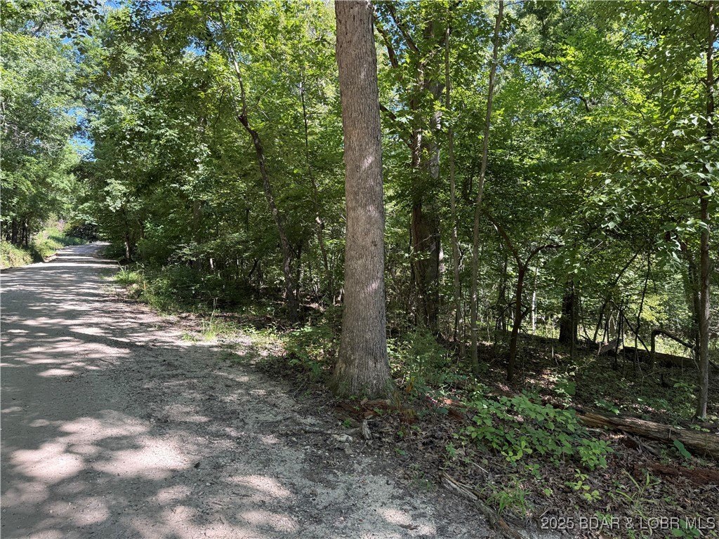 Camdenton Land Parcel For Sale