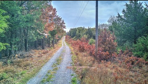 Land, Greenland, AR