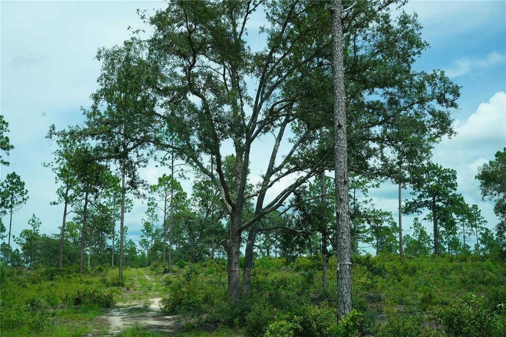 Picture 11