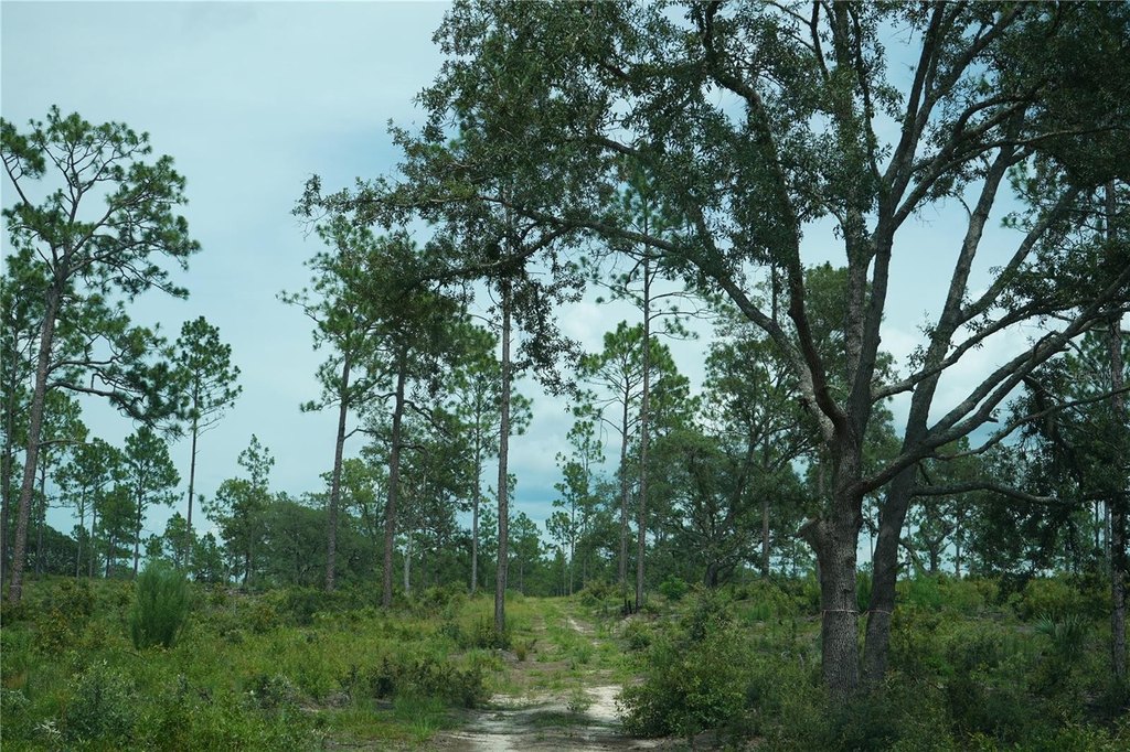 Picture 12