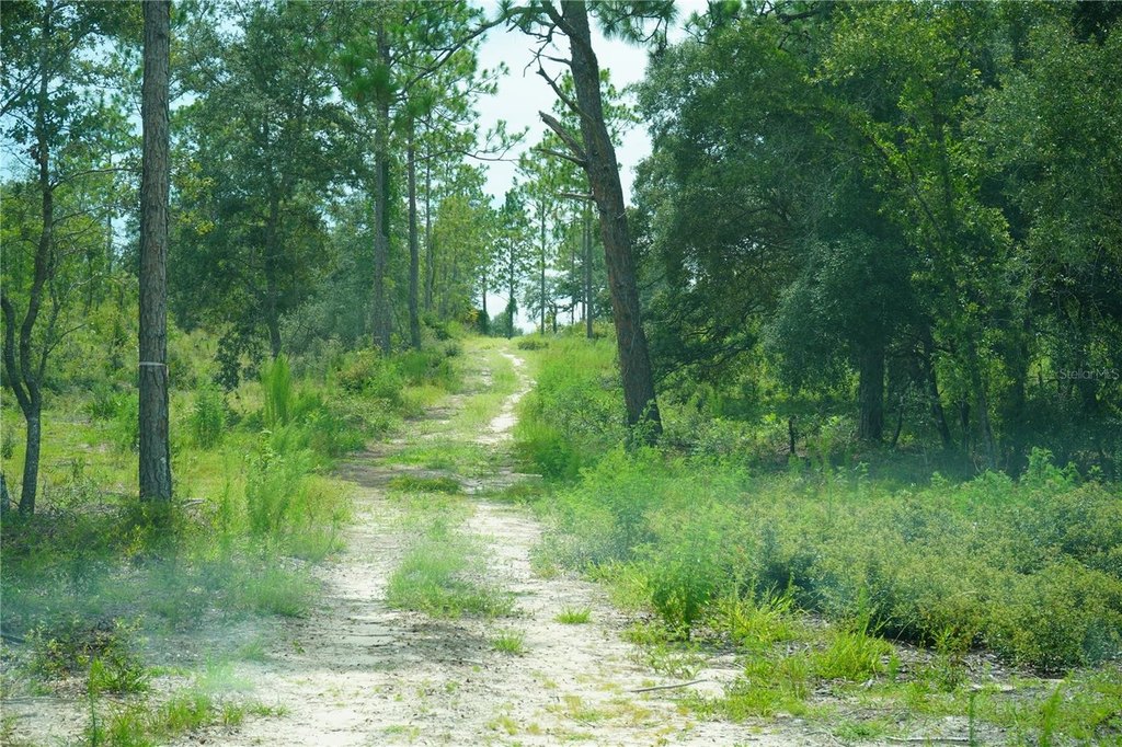 Picture 20