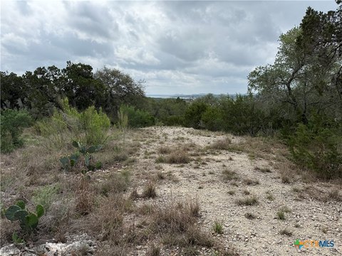Canyon Lake Land with Lakeviews