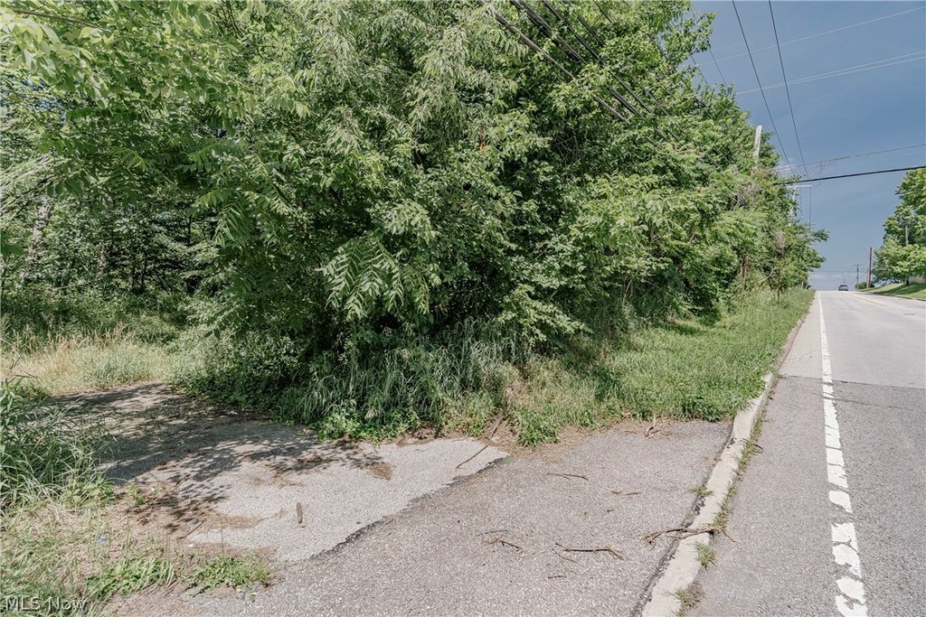 Picture 7