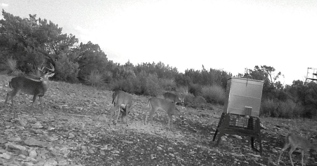 Picture 42