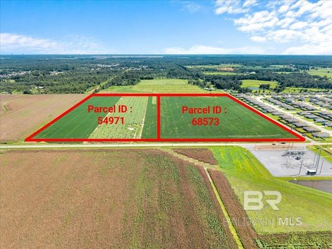 40 Acres in Rural Foley