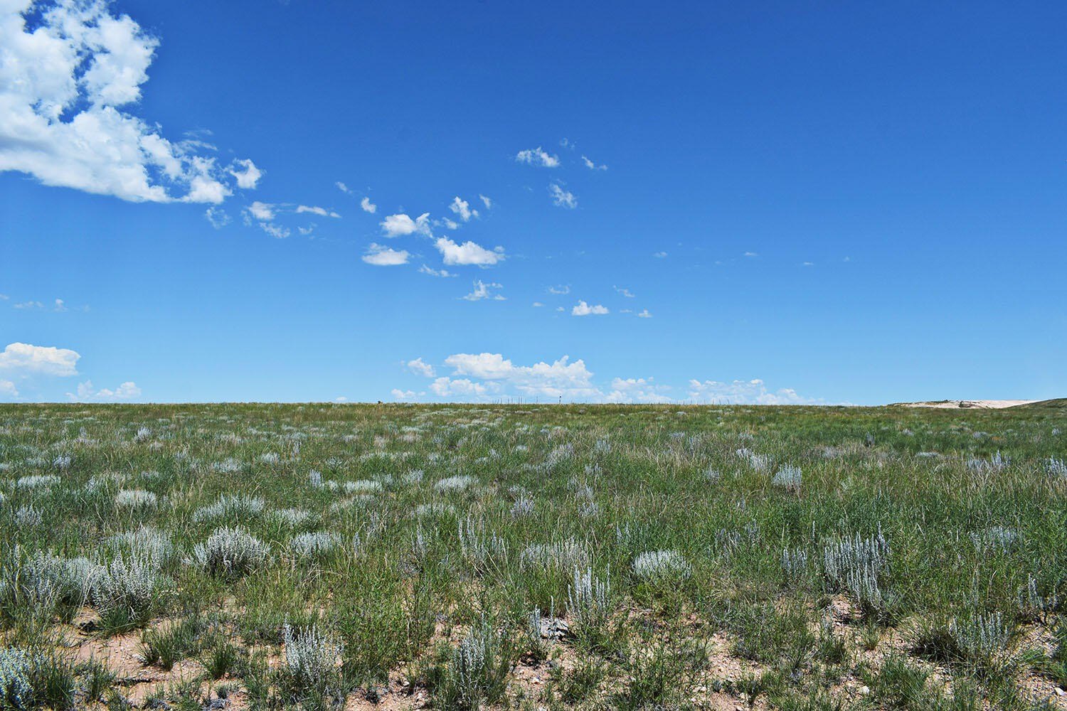 Land in Moriarty, New Mexico