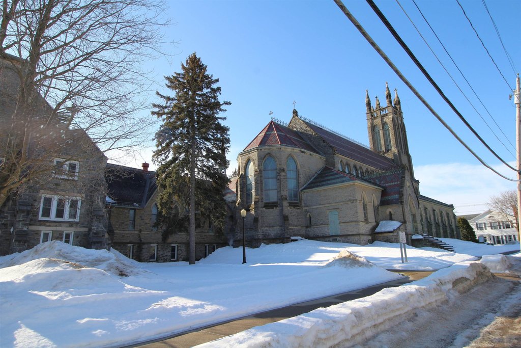 Picture 8