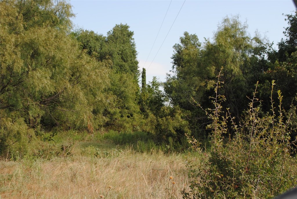 Picture 17