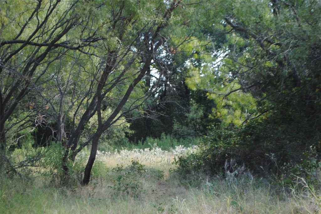 Picture 13