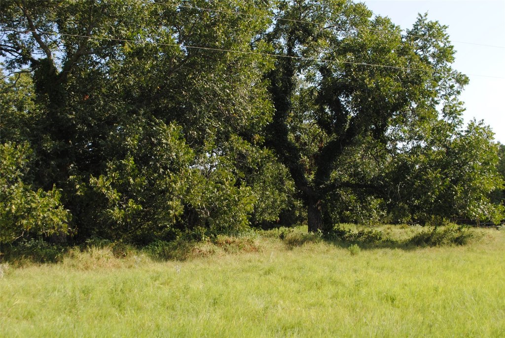 Picture 20