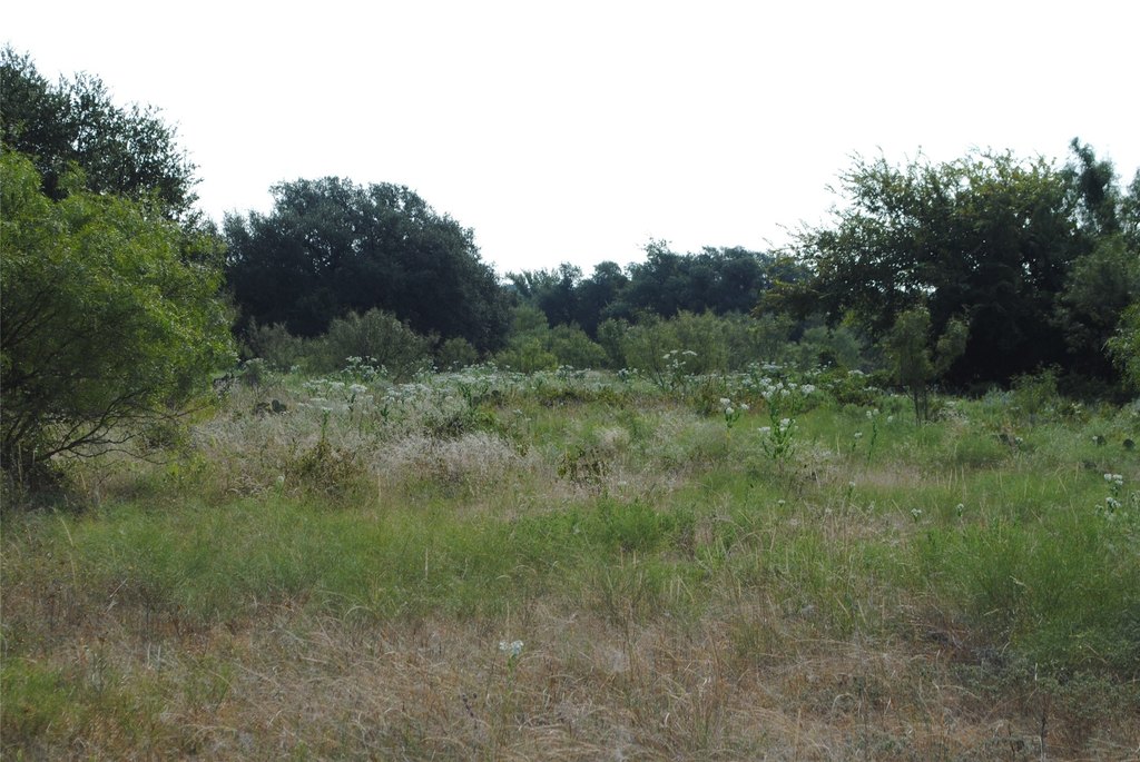Picture 16