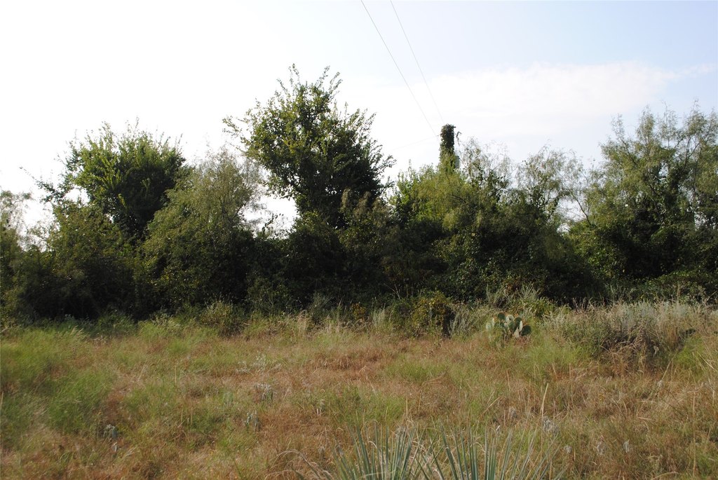 Picture 15