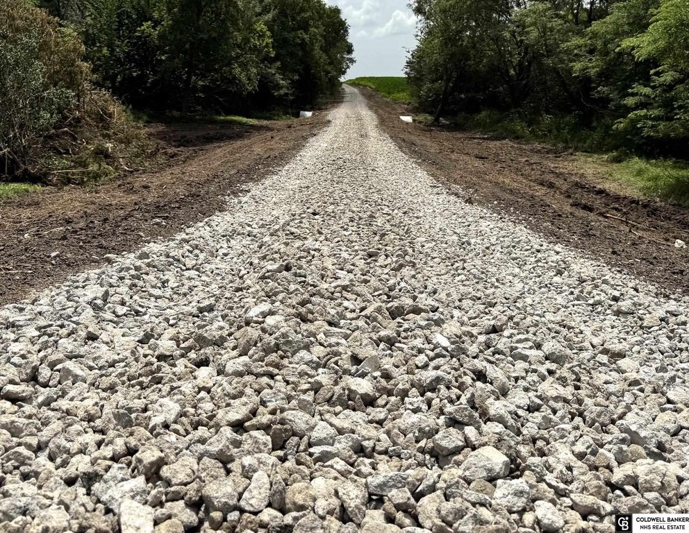Picture 12