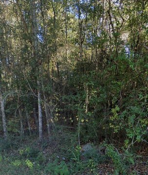 Residential Lot in Established Subdivision