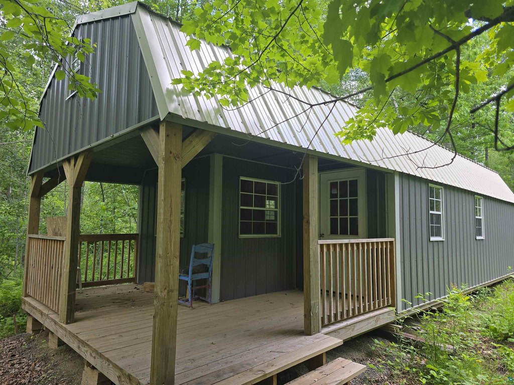 Picture 8