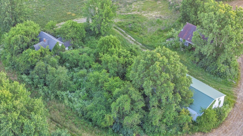Picture 6
