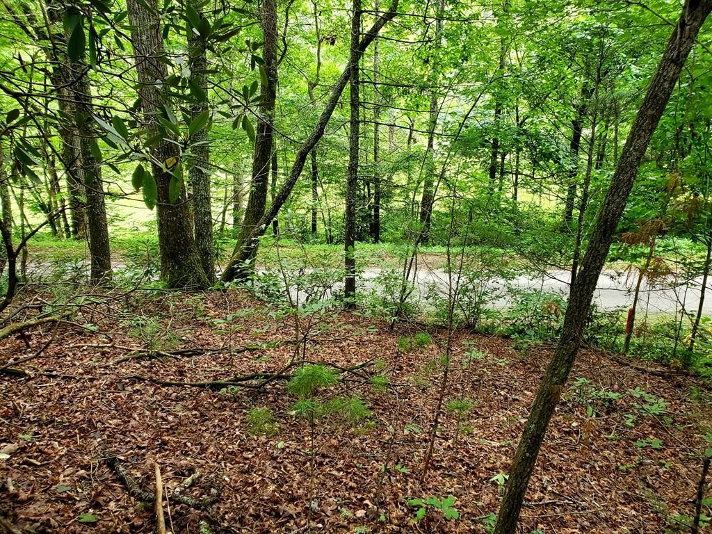 Hiawassee Acreage with Mountain Views