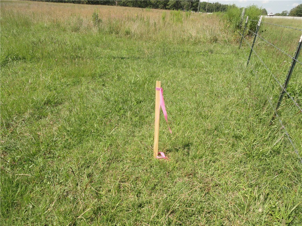 Picture 33