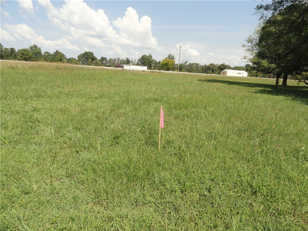 Picture 30