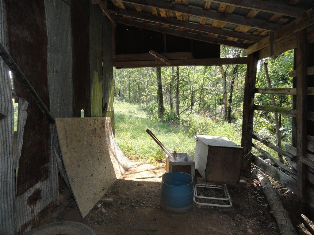 Picture 27