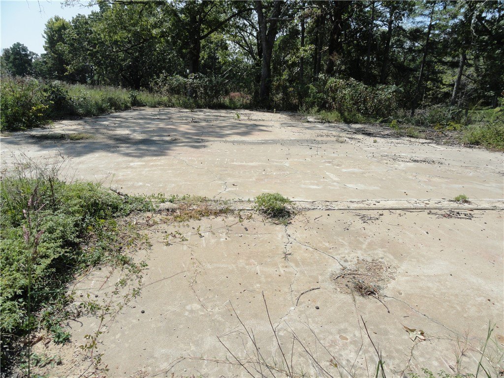 Picture 5