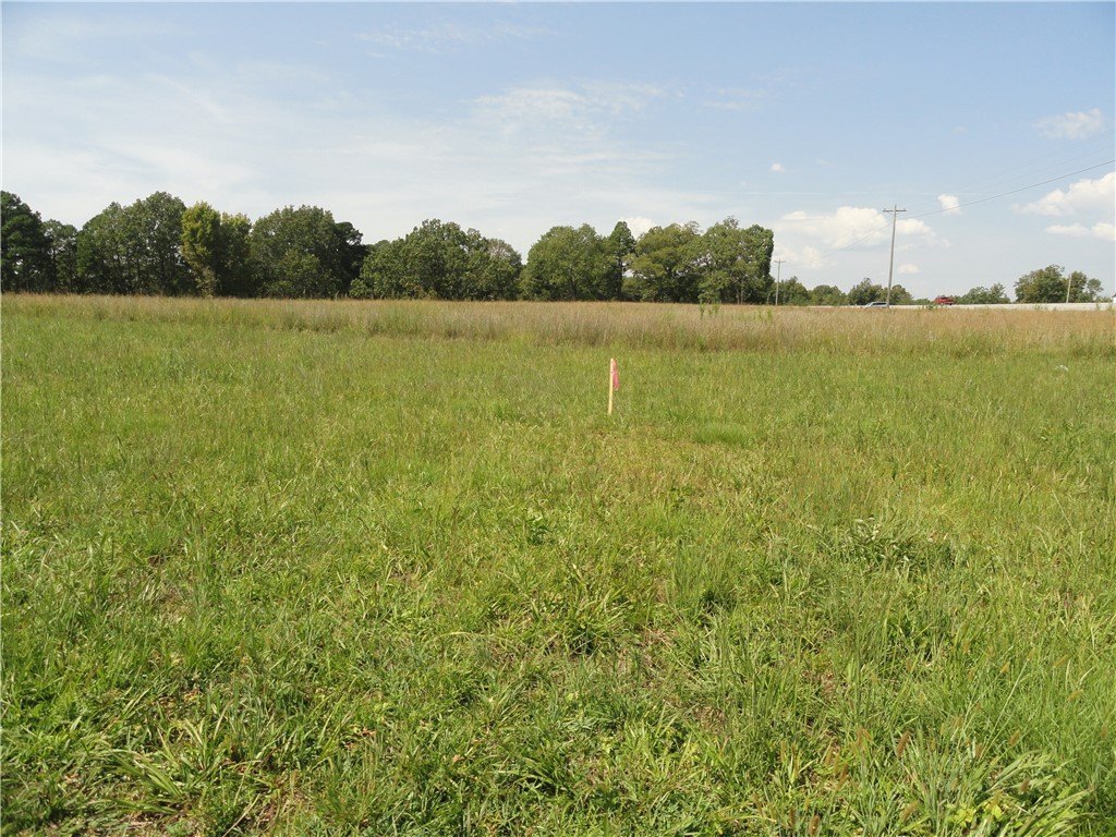 Picture 31